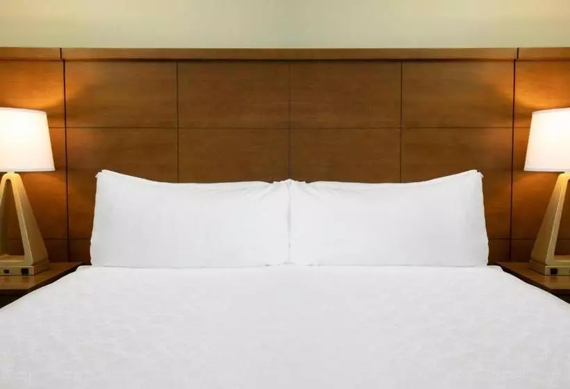 キングサイドベッドのスタンダードワンルーム, Staybridge Suites Reno Nevada, An Ihg