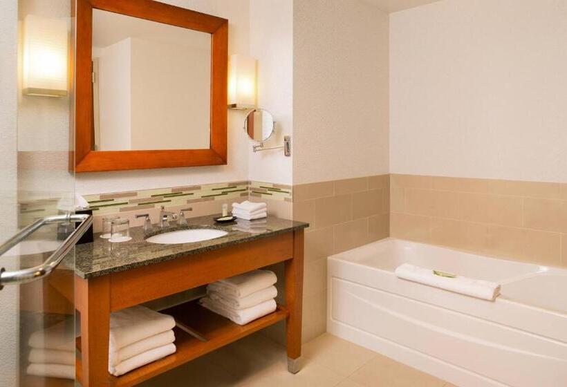 חדר קלאסי מיטת קווין, The Westin Edina Galleria