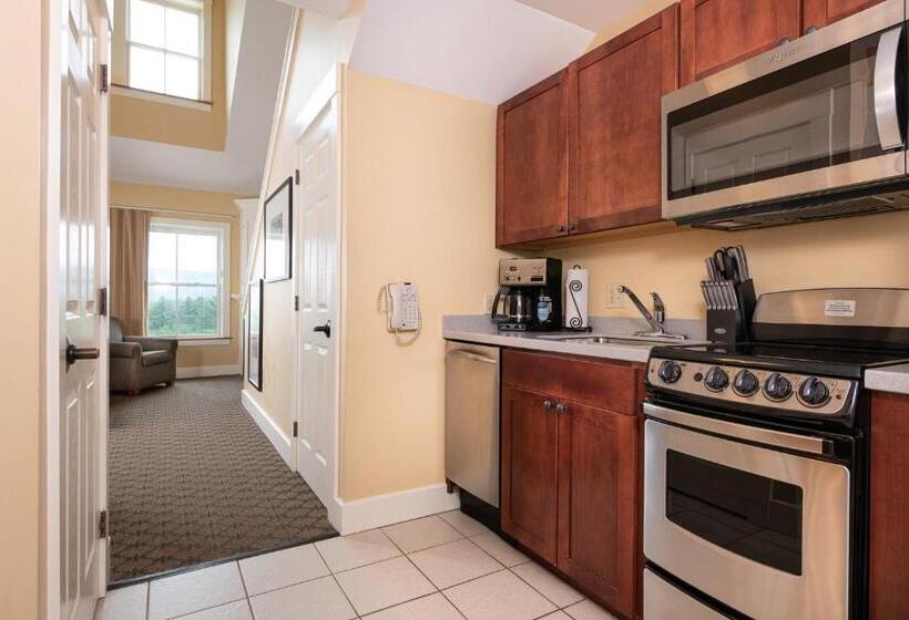 استودیوی استاندارد, Jackson Gore Village On Okemo Mountain