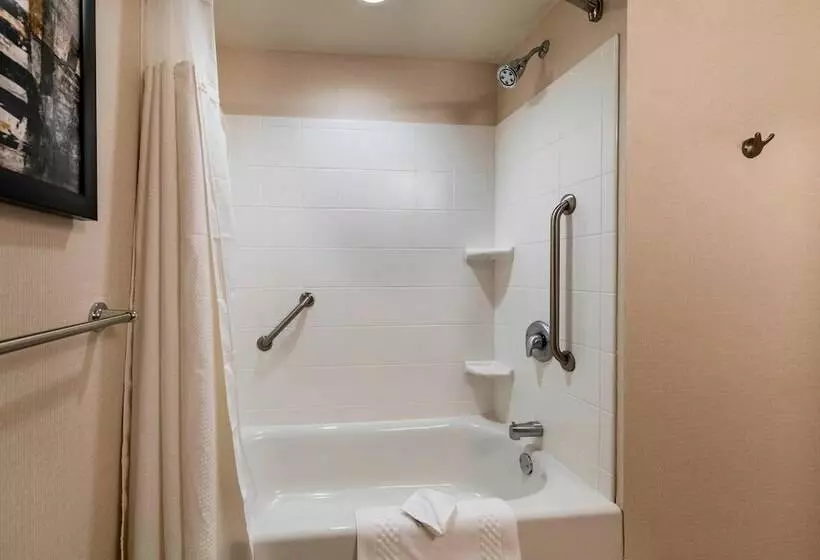 ２ダブルベッドのスタンダードルーム, Courtyard By Marriott Atlanta Buford Mall Of Georgia