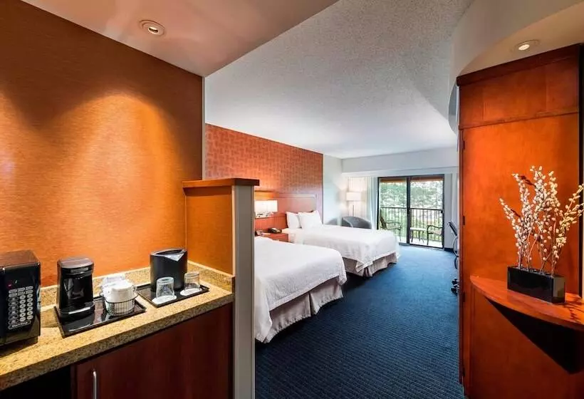 ２ダブルベッドのスタンダードルーム, Courtyard By Marriott Atlanta Buford Mall Of Georgia