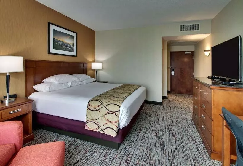 障害者適応デラックスルーム, Drury Inn & Suites Charlotte Northlake