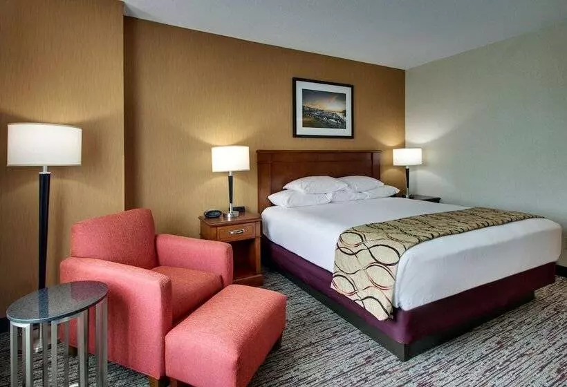 障害者適応デラックスルーム, Drury Inn & Suites Charlotte Northlake