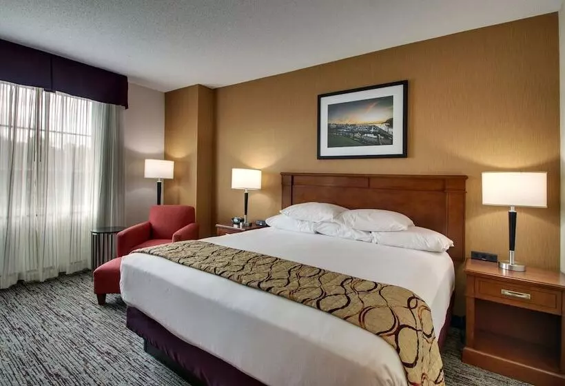 障害者適応デラックスルーム, Drury Inn & Suites Charlotte Northlake