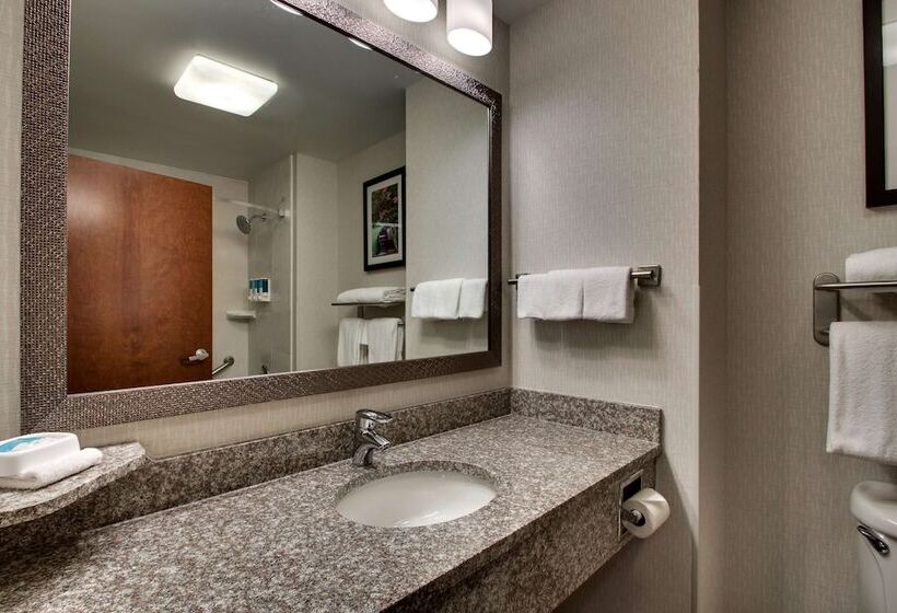 Люкс, Drury Inn & Suites Charlotte Northlake