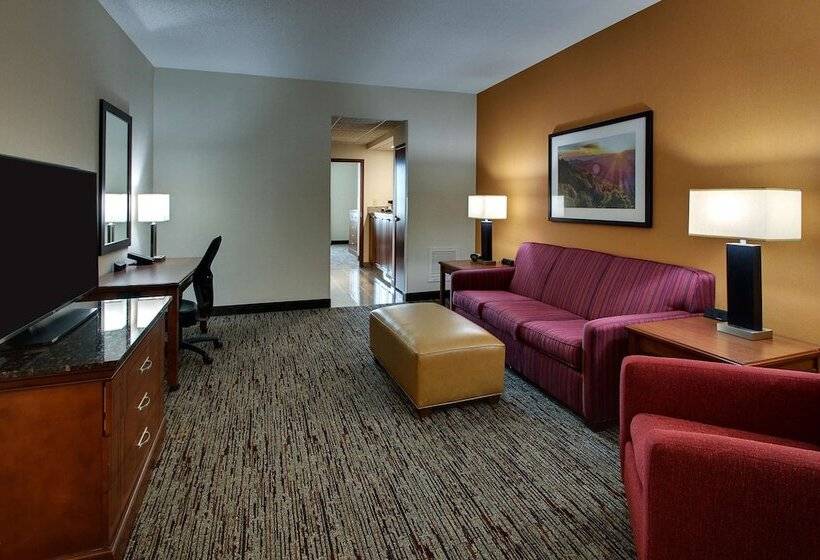 套房, Drury Inn & Suites Charlotte Northlake