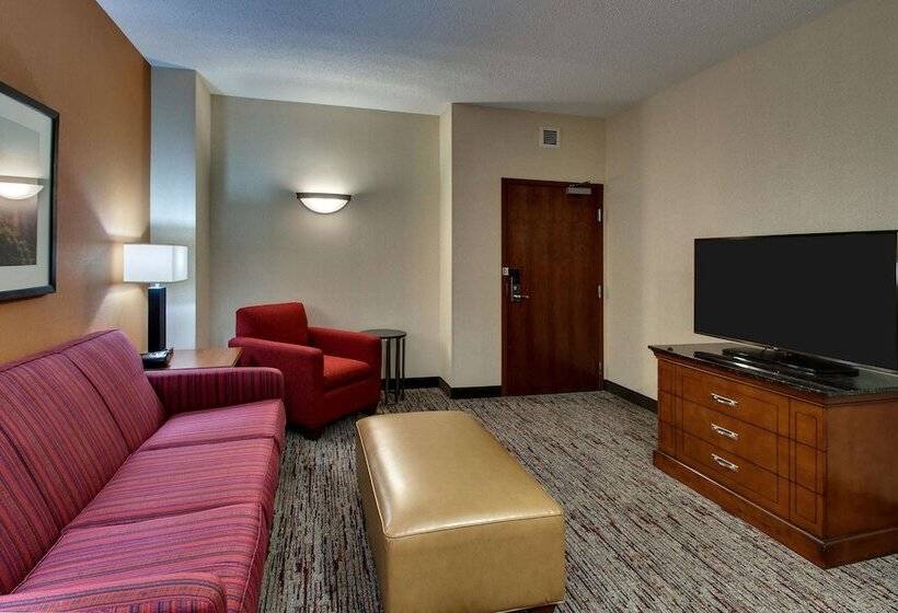 Люкс, Drury Inn & Suites Charlotte Northlake