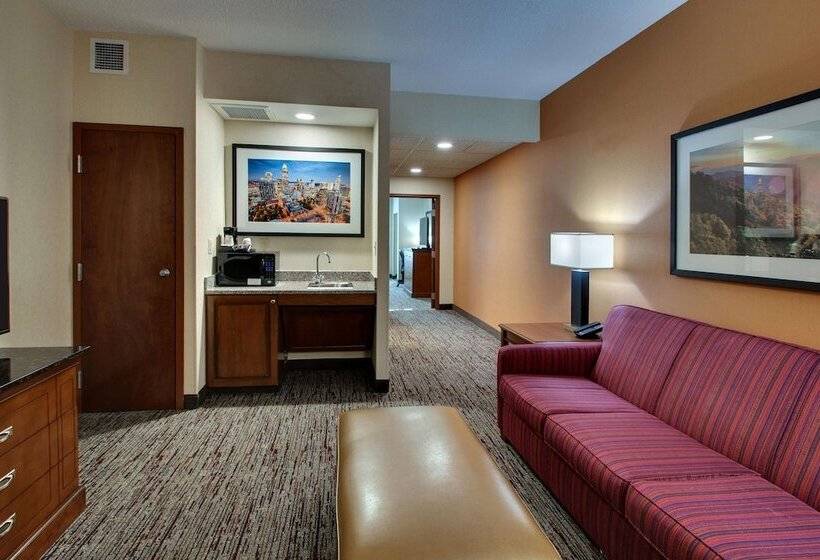 套房, Drury Inn & Suites Charlotte Northlake