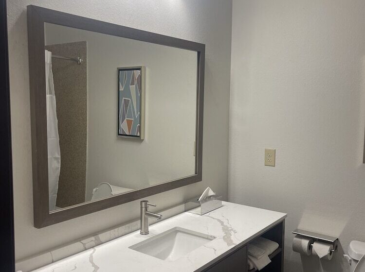 Номер Deluxe, Comfort Inn & Suites New Iberia   Avery Island