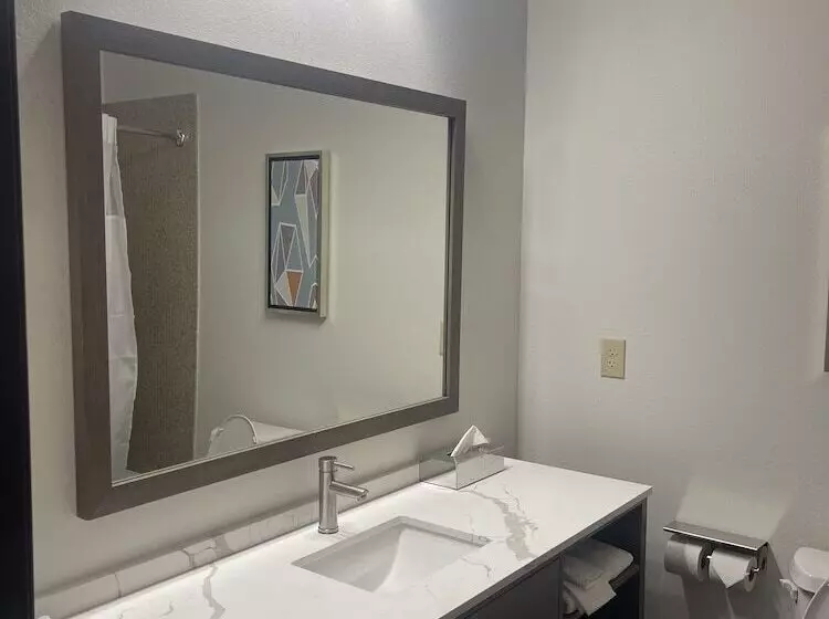 デラックスルーム, Comfort Inn & Suites New Iberia   Avery Island