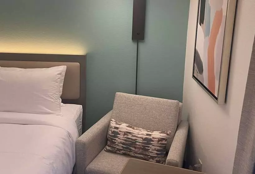 デラックスルーム, Comfort Inn & Suites New Iberia   Avery Island