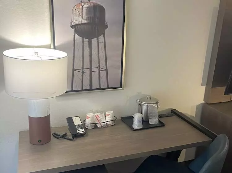 デラックスルーム, Comfort Inn & Suites New Iberia   Avery Island