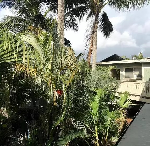 اتاق استاندارد با تخت بزرگ, Kauai Palms