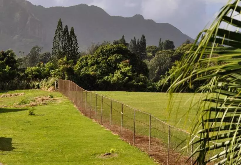 اتاق استاندارد با تخت بزرگ, Kauai Palms