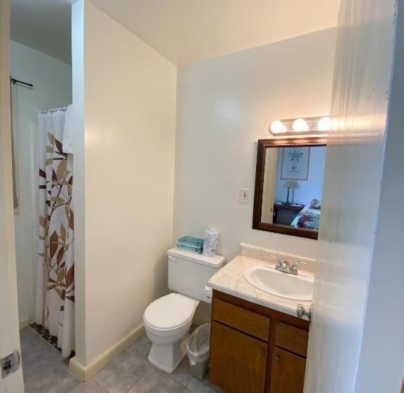 غرفة قياسية, Kauai Palms