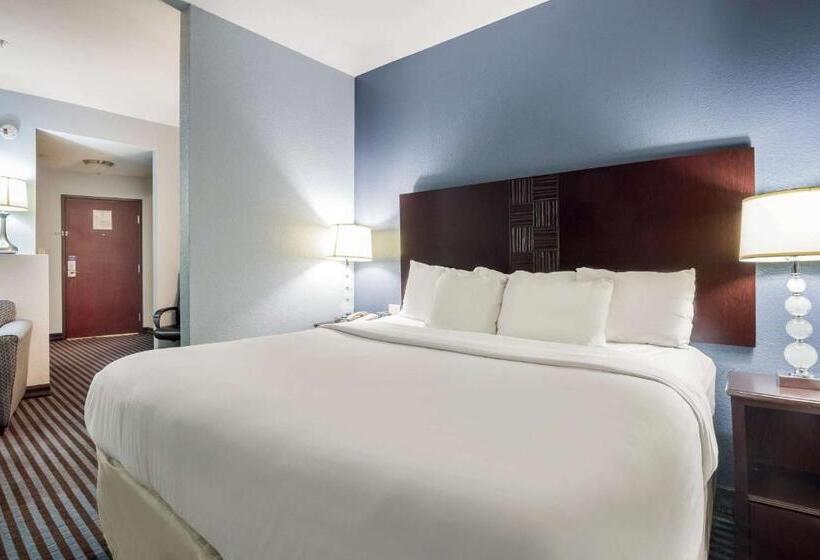 غرفة ديلوكس سرير كينج, Motel 6 Mineral Wells, Tx