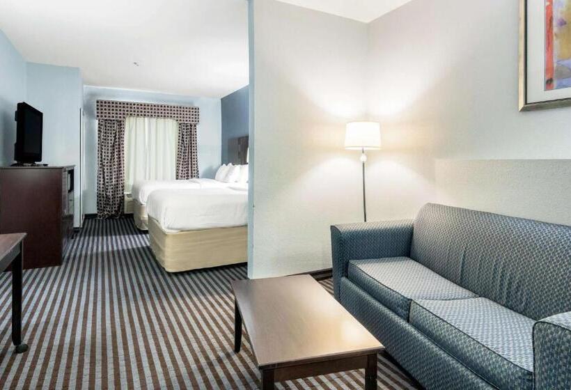 غرفة قياسية لذوى الاحتياجات الخاصة, Motel 6 Mineral Wells, Tx