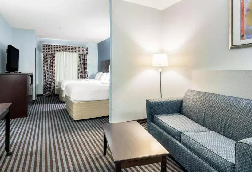 身障者適用スタンダードルーム, Motel 6 Mineral Wells, Tx