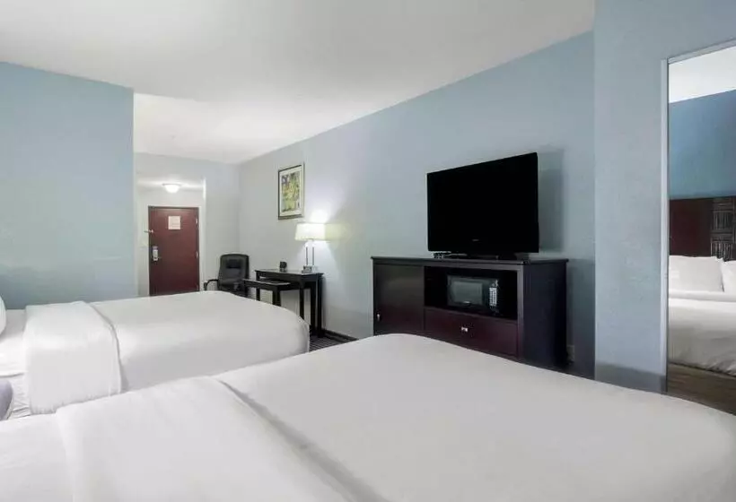身障者適用スタンダードルーム, Motel 6 Mineral Wells, Tx