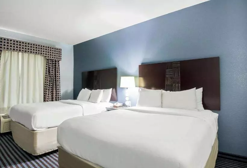 身障者適用スタンダードルーム, Motel 6 Mineral Wells, Tx