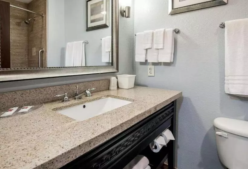 キングサイズベッドのスタンダードルーム, Motel 6 Mineral Wells, Tx