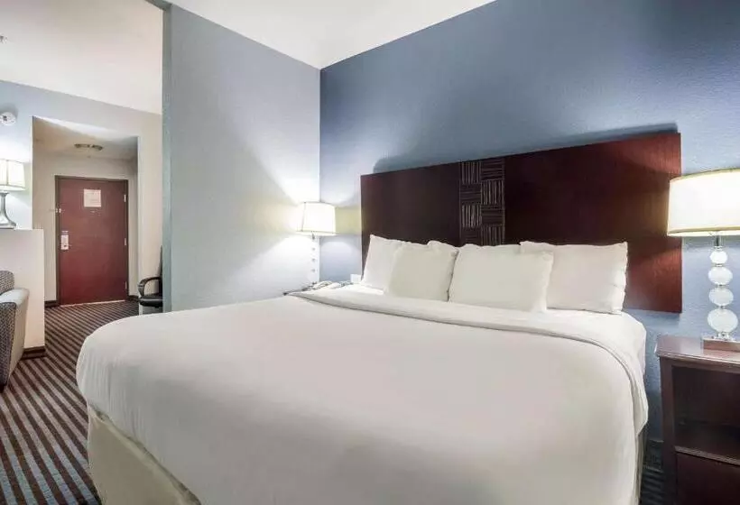 キングサイズベッドのスタンダードルーム, Motel 6 Mineral Wells, Tx