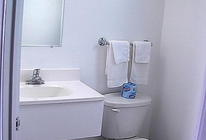 غرفه قياسيه سريرين مزدوجين, Economy Inn