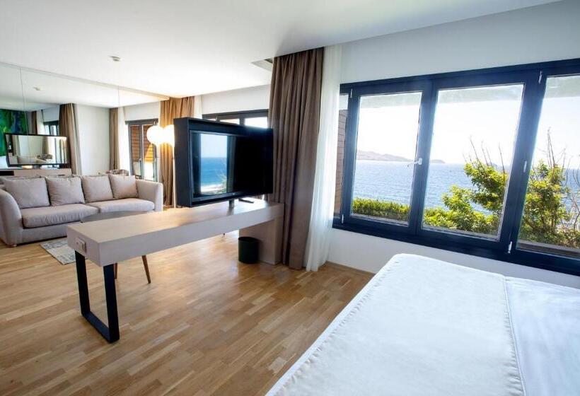 Представительский номер с видом, Palmalife