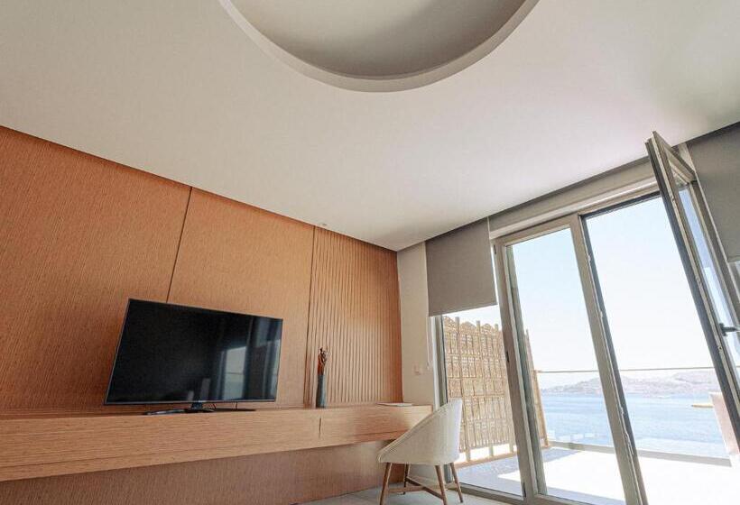 Люкс Повышенной Комфортности, Palmalife