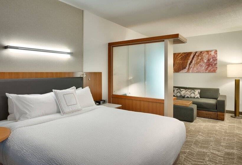 Студия Стандарт Двуспальная Кровать, Springhill Suites By Marriott Vernal