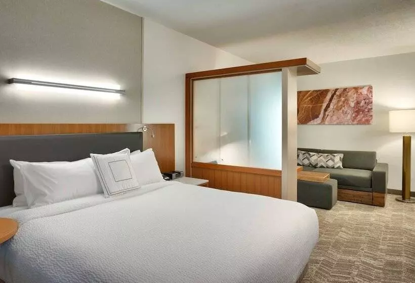 ダブルベッドのスタンダードスタジオ, Springhill Suites By Marriott Vernal