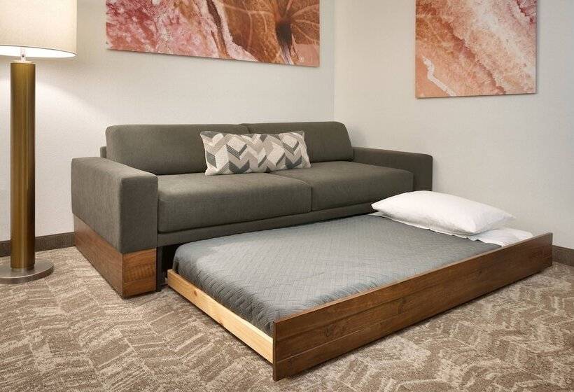 إستوديو قياسى, Springhill Suites By Marriott Vernal