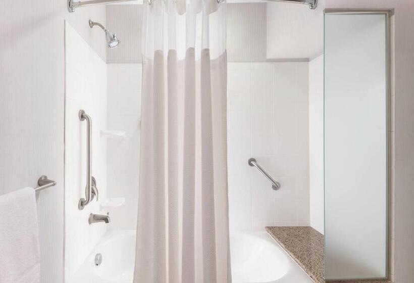 غرفة قياسية مطلة على المدينة, Courtyard By Marriott Greenville Downtown