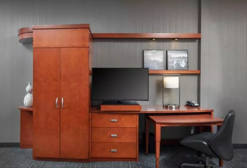 اتاق استاندارد با چشمانداز شهر, Courtyard By Marriott Greenville Downtown