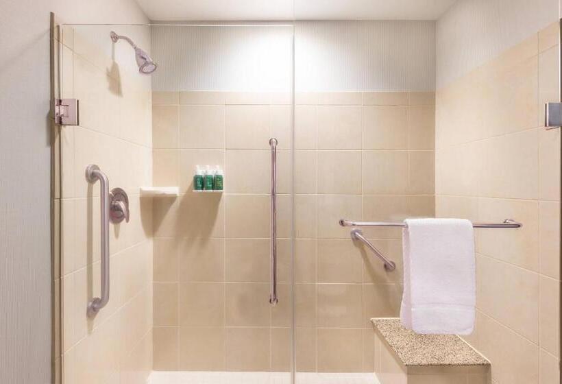 스탠다드 스튜디오 킹침대, Courtyard By Marriott Greenville Downtown