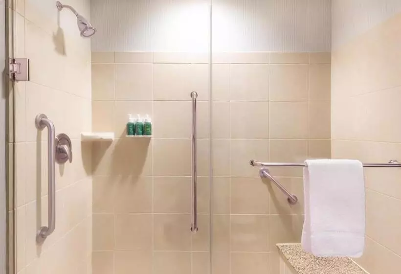 استودیو استاندارد با تخت کینگ, Courtyard By Marriott Greenville Downtown