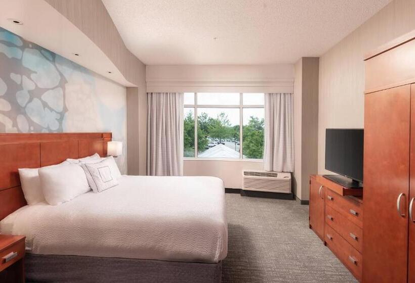 주니어 스위트, Courtyard By Marriott Greenville Downtown