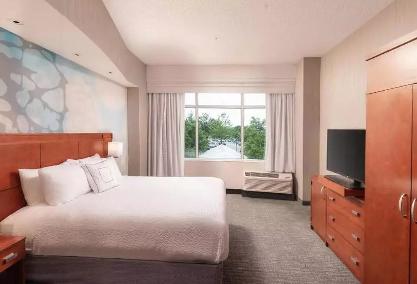 سوییت جونیور, Courtyard By Marriott Greenville Downtown