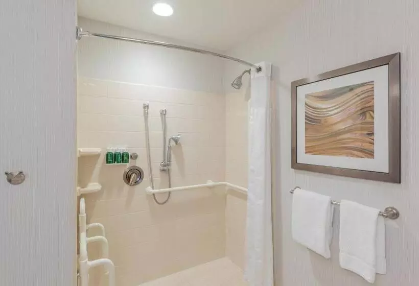 سوئیت با تخت بزرگ, Courtyard By Marriott Greenville Downtown