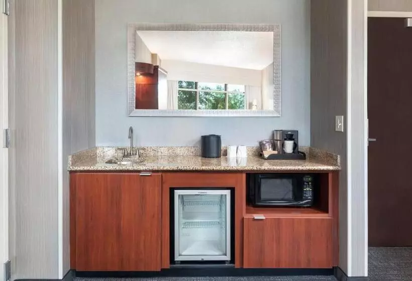 سوئیت با تخت بزرگ, Courtyard By Marriott Greenville Downtown