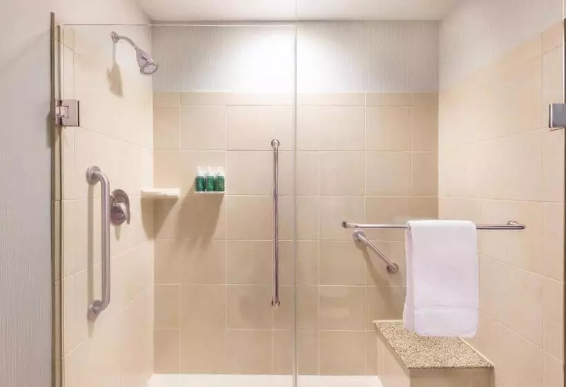 اتاق لوکس با تخت بزرگ, Courtyard By Marriott Greenville Downtown