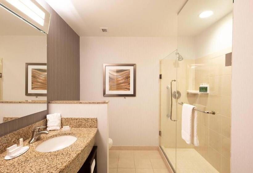 غرفة قياسية سرير كينج لذوى الإحتياجات الخاصة, Courtyard By Marriott Greenville Downtown