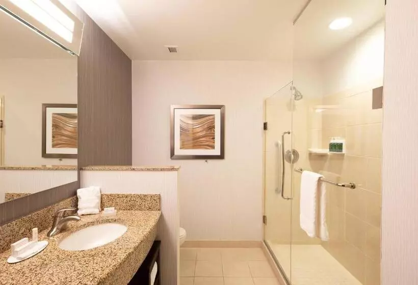 اتاق استاندارد با تخت بزرگ برای معلولان, Courtyard By Marriott Greenville Downtown