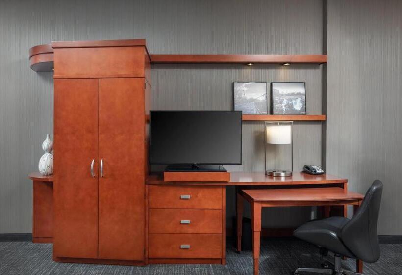 غرفة قياسية سرير كينج لذوى الإحتياجات الخاصة, Courtyard By Marriott Greenville Downtown