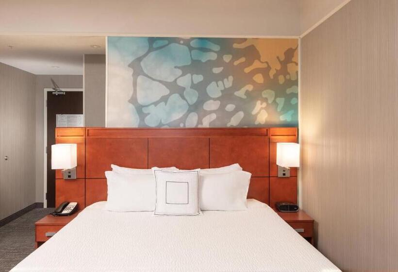 장애인을 위한 킹사이즈 침대 스탠다드 룸, Courtyard By Marriott Greenville Downtown