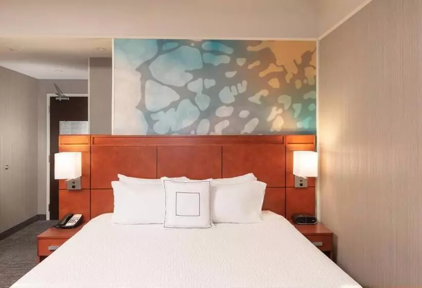 اتاق استاندارد با تخت بزرگ برای معلولان, Courtyard By Marriott Greenville Downtown