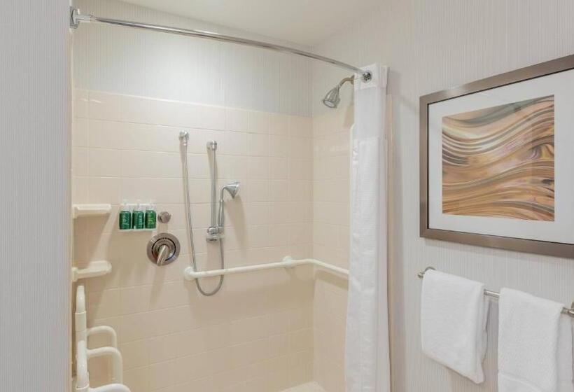 غرفة قياسية سرير كينج لذوى الإحتياجات الخاصة, Courtyard By Marriott Greenville Downtown