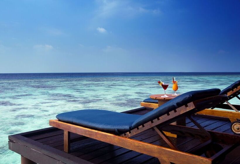 ویلای 1 خوابه, Filitheyo Island Resort