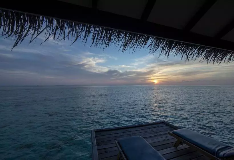 ویلای 1 خوابه, Filitheyo Island Resort