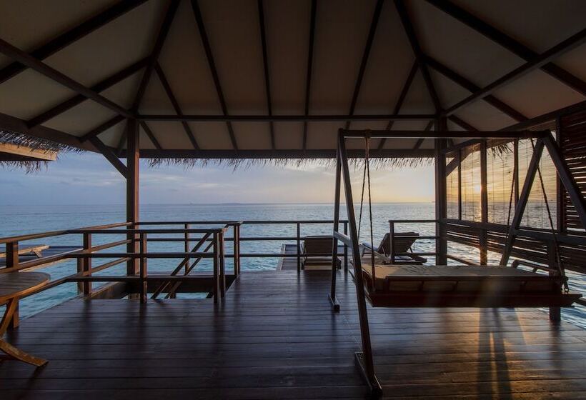 ویلای 1 خوابه, Filitheyo Island Resort